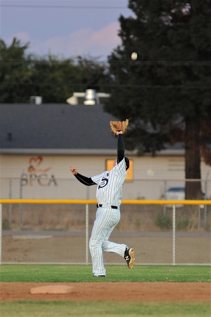 Seals_2019-09-19 (300).JPG - (c)2010 DeVetter